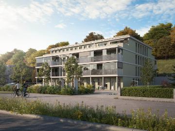 Gemütliche Wohnung in Münchenstein