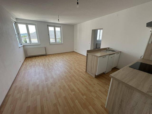 Gemütliche Wohnung mit Terrasse in 3393 Matzleindorf