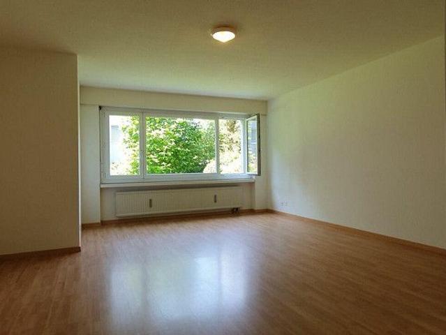 Gemütliche Wohnung sucht Single!