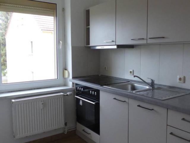 Gemütliche Zweiraumwohnung mit neuwertiger Einbauküche naturnah in Luppa
