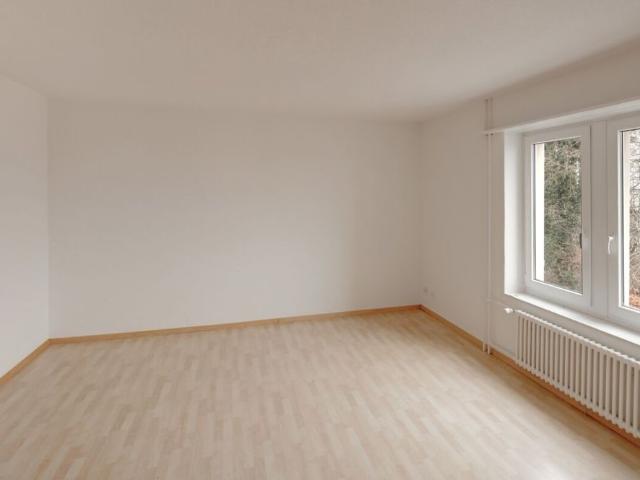Gemütliche 1.5 Zimmer Wohnung in Neuhausen am Rheinfall