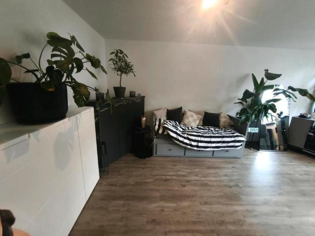 Gemütliche 1 Zimmer Wohnung