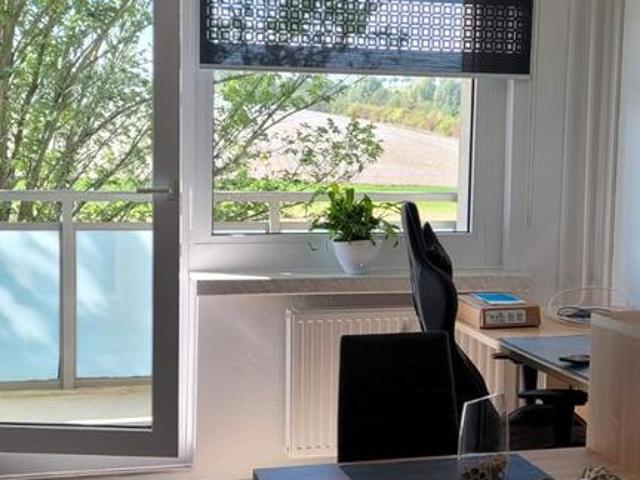 gemütliche 1 Zimmer Wohnung in Dresden mit Naturblick