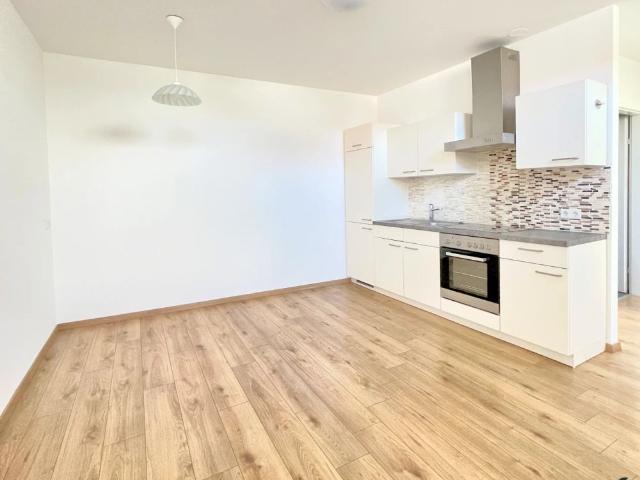 Gemütliche 1 Zimmer Wohnung mit offener Küche