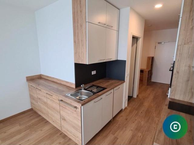 Gemütliche 1 Zimmer Wohnung voll möbliert auf Zeit