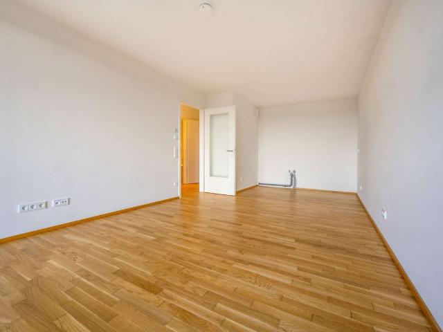 Gemütliche 2 Zimmer Wohnung mit Elbblick in Dresden