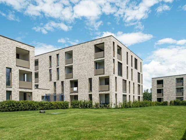 Gemütliche 3 Zi Wohnung in Lauterach zu vermieten! H11 Top 16 W31
