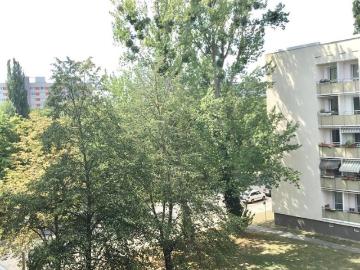 Gemütliche 3 Zimmer Wohnung mit Balkon