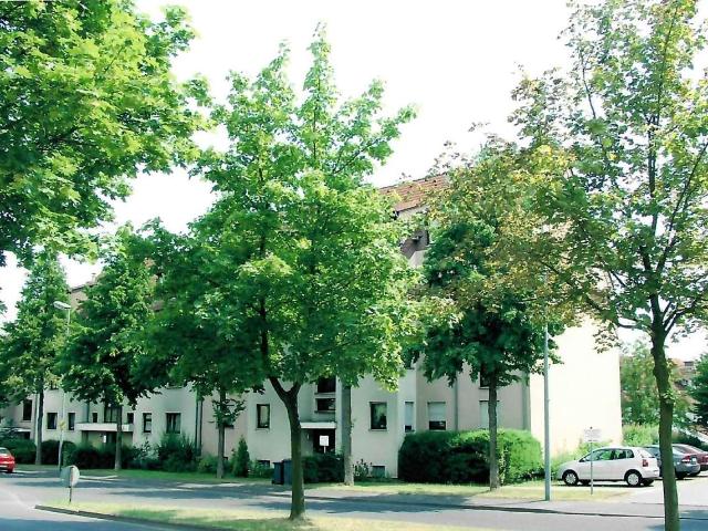 Gemütliche 3 Zimmerwohnung in zentraler Lage von Altenbauna