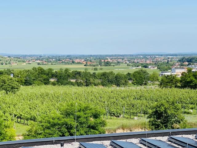 Gemütliche 3 Zimmerwohnung mit Fernblick in Danube Hills Krems