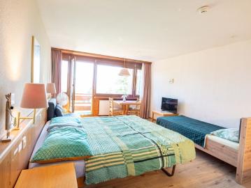 Gemütliches 1 Zimmer Studio mit Bergsicht in Aeschi bei Spiez kaufen