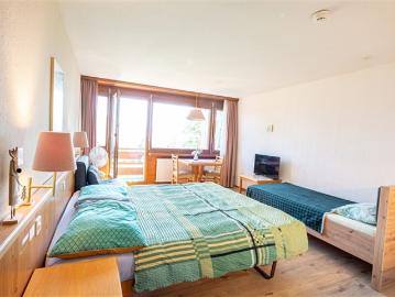 Gemütliches 1 Zimmer Studio mit Bergsicht in Aeschi bei Spiez kaufen