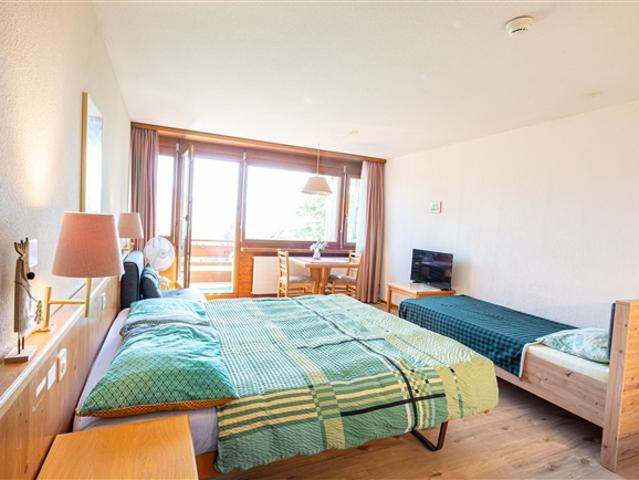 Gemütliches 1 Zimmer Studio mit Bergsicht in Aeschi bei Spiez kaufen