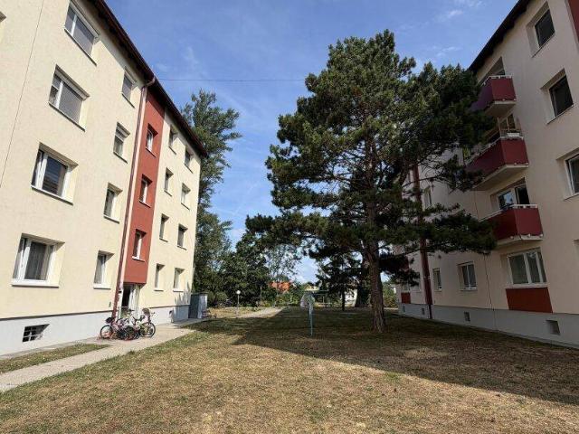 Gemütliches Zuhause
