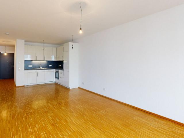 Gemütliches Apartment – ideal für Singles