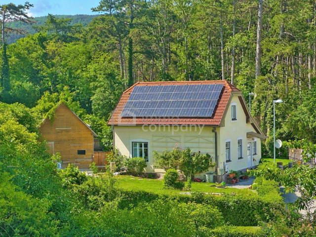 Gemütliches kleines Landhaus für Singles oder Paare – ein Paradies im Grünen – Landhaus mit PV Anlage nahe Wien