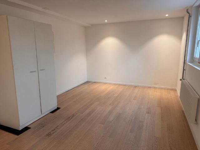 Gemütliches Studio im Erdgeschoss in Brugg