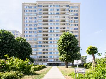 2020, Antwerpen, Anvers, Province de Anvers, Flandre