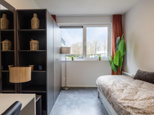 Gemeubileerde studio te huur
