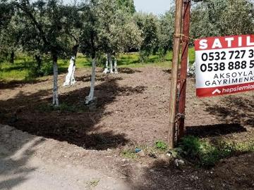 Orhangazi, Bursa, Bursa ili, Marmara Bölgesi