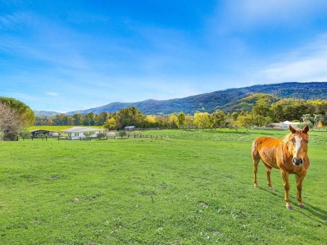Generous 1/2 Acre with Stunning Views