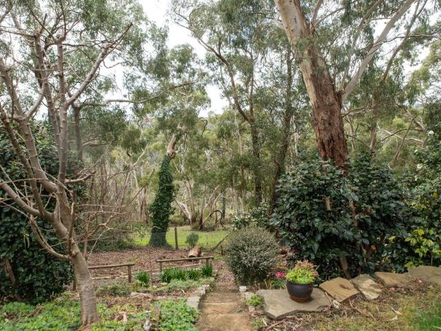 Generous Three Bedroom Home with Separate Studio on a Spacious Hills Block