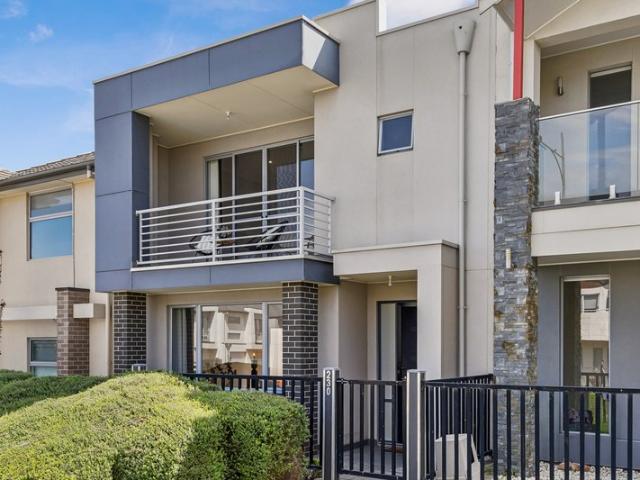 Generous Torrens Titled Living in the Heart of Lightsview