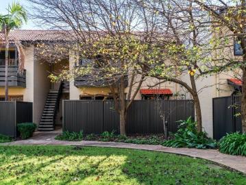 Generous Two Bedroom Courtyard Apartment in Prime Eastern Suburbs Location