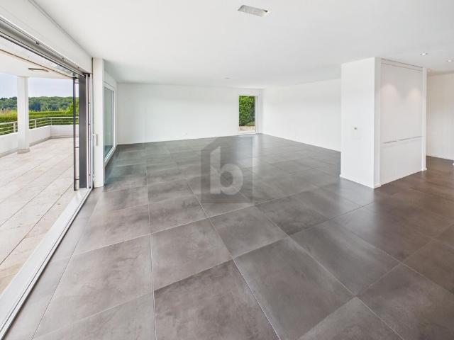 GENEROUS AND STYLISH WITH SUNNY TERRACE
