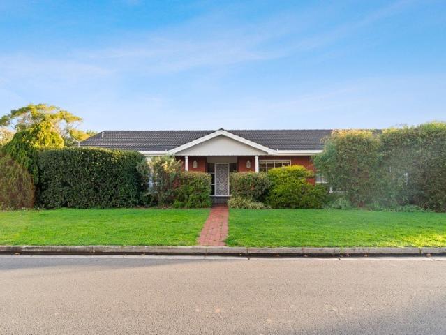 Generous Family Living in Leafy Vale Park