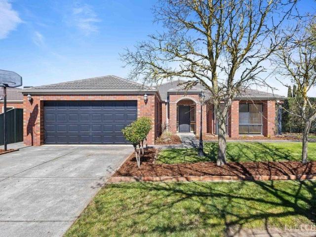 Generous Family Living with Exceptional Entertaining