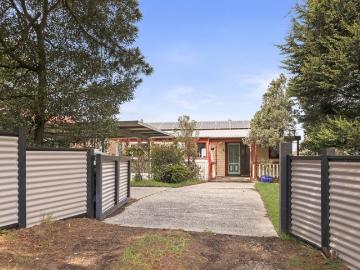 Generous Proportions, Leafy Outlooks and Exceptional Potential