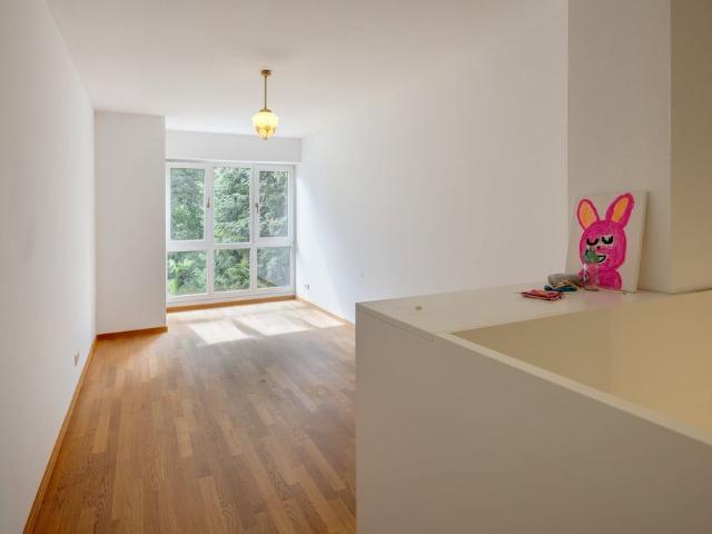 Generous semi detached house with large garden