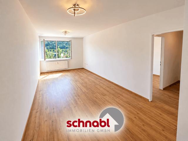 Generalsanierte Anlagewohnung