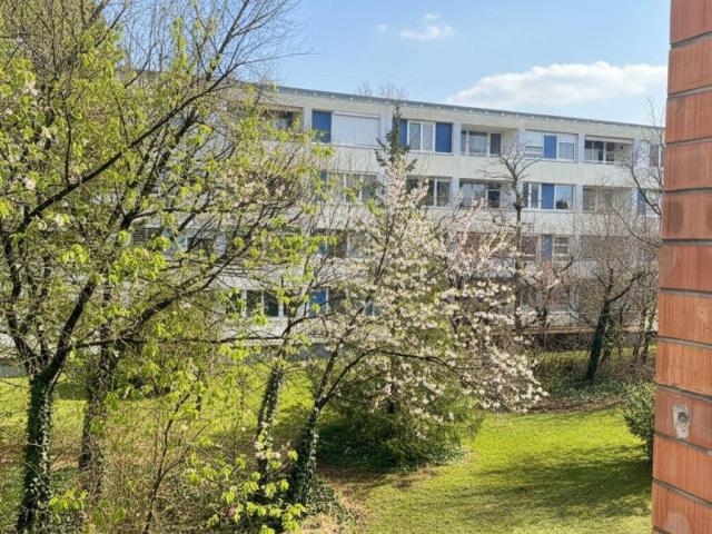 Generalsanierte Wohnung in Top Zustand mit großem Kellerraum