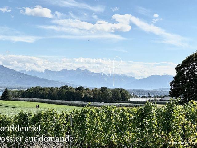 Geneva Right Bank – Außergewöhnliches Anwesen mit Gästehaus