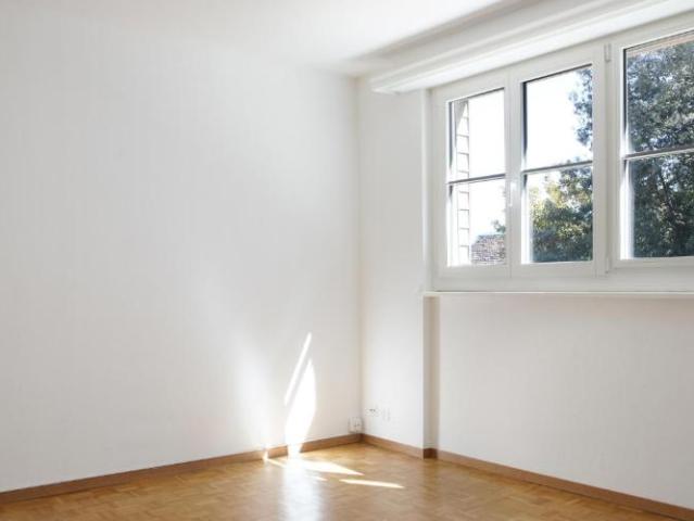 GENEVE 5, rue Etienne Dumont 1 pièce & kitchenette 23 m2