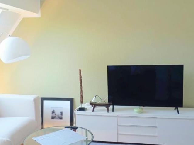 Genève Plainpalais Appartement Meublé 4 pièces + 60 m² & Balcons