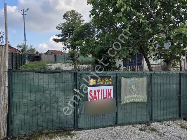 Geniş 3200m² Bahçeli, Kandıra/duraklı'da Müstakil Çiftlik Evi