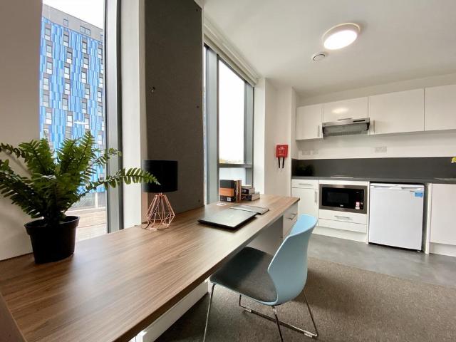 George Road Classic Studio, Five. 1 bed flat to rent £952 pcm £220 pw