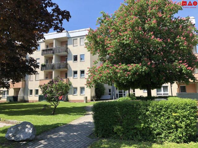 Geförderte Seniorenwohnung mit sonniger Loggia, barrierearmem Komfort und Aufzug exklusiv nur für Pensionisten, die ruhig und selbstständig wohnen möchten!
