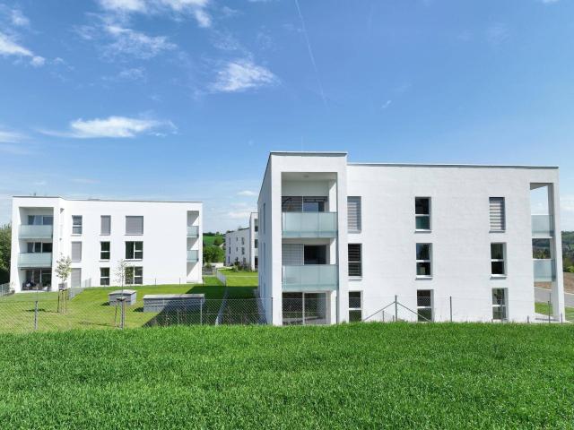 geförderte 2 Raum Wohnung in Grieskirchen Top 411