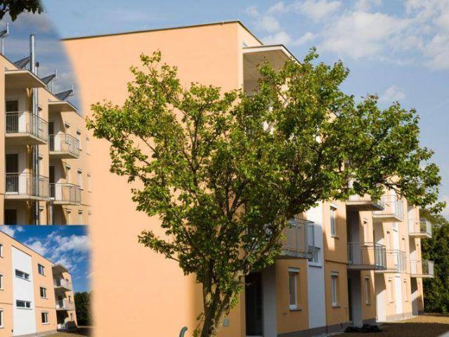 Geförderte 2 Zimmer Mietwohnung in Gratkorn