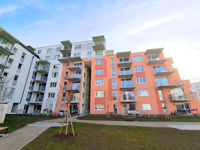 Geförderte 3 Zimmer Wohnung in ruhiger Innenhoflage mit Balkon Idlhofgasse 70 Top 021