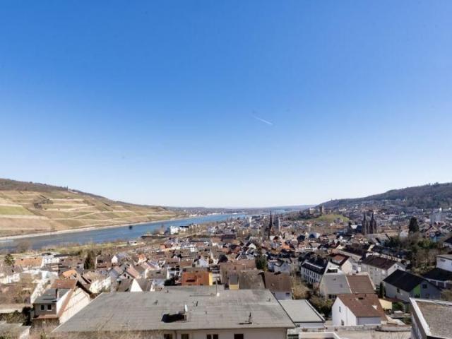 Gehoben möbiliertes Apartment mit traumhaftem Rheinblick