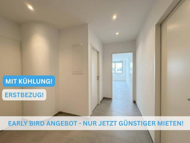 Gekühlte und neue 2 Zimmer Wohnung eine Minute von U4/U6 gelegen