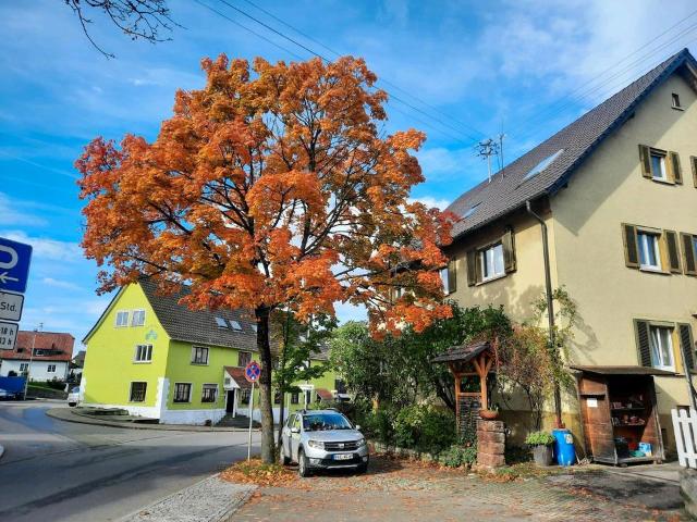 gelegenheit in affalterbach.haus mit 3 wohnungen 2350m2 platz