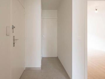 2950, Arrondissement de Anvers, Province de Anvers, Flandre