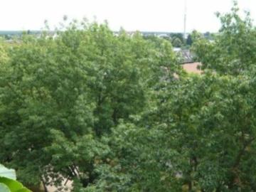 Jügesheim, Taunus, Rheinland-Pfalz - Parkplatz