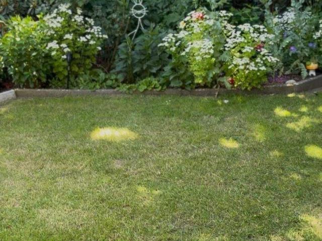 Gepflegte 3 Zimmer Wohnung im EG mit Garten in Stade Wiepenkathen